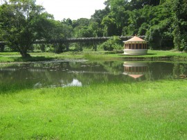 fotos jardim botanico 2 270x202 - Jardim Botânico de João Pessoa recebe centenas de visitantes no primeiro trimestre