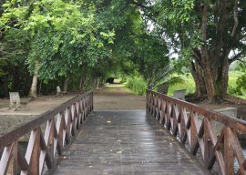 jardim botanico abre trilha ecologica foto jose lins 22 270x192 - Jardim Botânico de João Pessoa recebe centenas de visitantes no primeiro trimestre