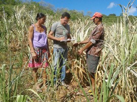 mulher santana de mangueira portal 270x202 - Governo do Estado estimula inclusão social e produtiva para mulher rural