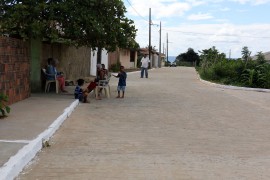 bananeiras calçamento de rua foto francisco frança (3)