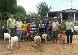 caprinos Oziel11 05 2 270x192 - Agricultores do Ecoprodutivo recebem matrizes e reprodutores de caprinos do Governo do Estado