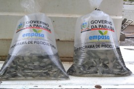 pis631 270x180 - Governo do Estado entrega 30 mil peixes a produtores rurais de Areia