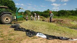 silagem sousa4 portal 270x151 - Governo promove Dia de Campo sobre armazenamento de forragem para alimentação animal