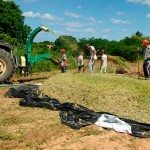 dia-de-campo-silagem01_portal