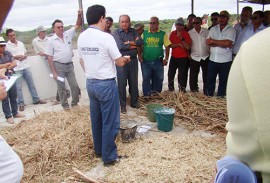 emepa faz oficiana de silagem para criadores do semiarido 1 270x183 - Emepa realiza oficinas sobre silagem para criadores do semiárido 