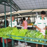 feira_agricultor