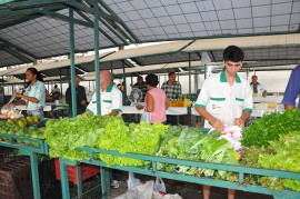 feira agricultor 270x179 - Feira da Emater será animada com forró pé de serra nesta quinta-feira