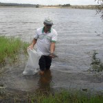 pis344 150x150 - Governo da Paraíba realiza peixamento em reservatórios d’água do estado