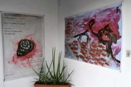 CCI_Fotos_LucianaBessa