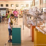 feirinha4-foto-thercles-silva_portal