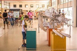 feirinha4-foto-thercles-silva_portal