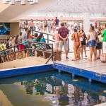 feirinha6-foto-thercles-silva_portal