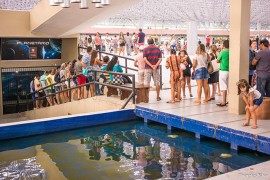 feirinha6-foto-thercles-silva_portal