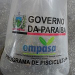 pis31 150x150 - Divisão de Piscicultura da Empasa atinge metas do primeiro semestre