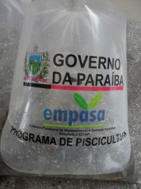 pis31 202x270 - <SAMSUNG DIGITAL CAMERA>