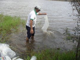 pis346 270x202 - <SAMSUNG DIGITAL CAMERA>