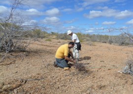 procase e sudema projeto de restauracao e regularizacao anbiental de novo cariri 3 270x191 - Governo realiza 2a etapa do Projeto de Restauração e Regularização Ambiental do Novo Cariri   