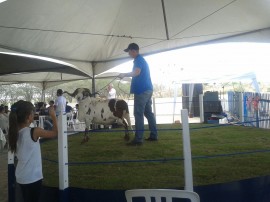 emepa leilão 29 08 270x202 - Rebanho de caprinos e ovinos do Nordeste se fortalece com genética da Emepa