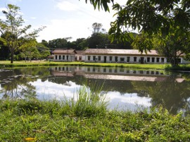 jardim botanico trilha paisagem  fotos Walter Rafael1 261 270x202 - Jardim Botânico de João Pessoa é espaço de contemplação da primavera