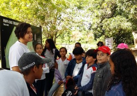 jb visita3 270x190 - Alunos de Escola Estadual participam de Trilha Ecológica no Jardim Botânico