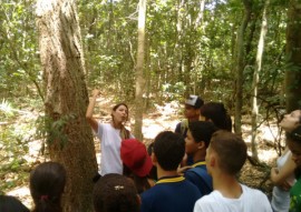 alunos do iep participam de aula de campo no jardim botanico (6)