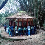 alunos do iep participam de aula de campo no jardim botanico (7)