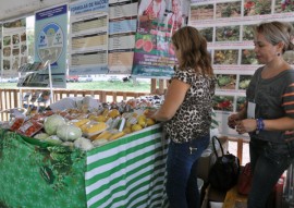 exporfeira emater comercializam hortalicas 1 270x191 - Agricultores assistidos pela Emater comercializam hortaliça orgânica na Expofeira 