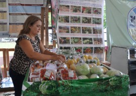 exporfeira emater comercializam hortalicas 2 270x191 - Agricultores assistidos pela Emater comercializam hortaliça orgânica na Expofeira 