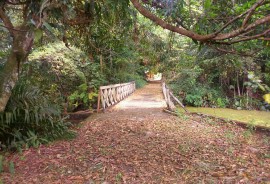 IMG 20161114 103638 1 270x184 - No Jardim Botânico: Sudema abre inscrições para oficina de mini jardins