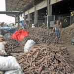 emp82 150x150 - Associação internacional: Empasa integra União Mundial de Mercados Atacadistas