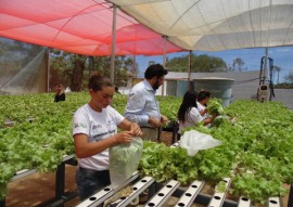 governo inaugura desalinizador em picui 5 270x191 - Zona rural de Picuí ganha unidade de cultivo hidropônico de hortaliças com água dessalinizada