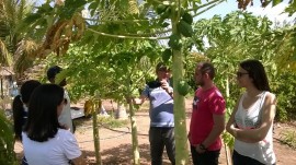 Pombal estudantes.6 270x151 - Estudantes da UFCG conhecem processo de produção de hortaliças e fruteiras em Pombal