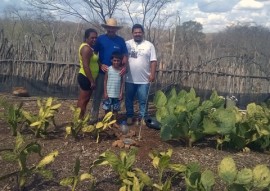 produção de hortaliças caraubasa 31 01 270x191 - Emater orienta família na construção de fossa séptica para reuso da água na irrigação de forragem