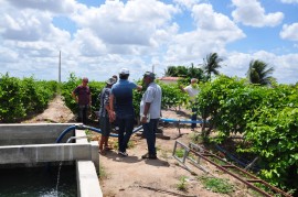 DSC 0073 07 02 270x179 - Extensionistas da Emater orientam agricultor familiar em plantio e criação de peixes