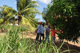 DSC 0567 270x179 - Produção familiar de agricultores é destaque na zona rural de Pilar