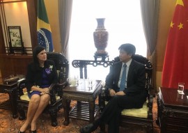 IMG 8409 270x191 - Vice-governadora discute parcerias com o embaixador da China no Brasil