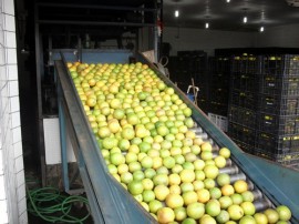 emp135 270x202 - <SAMSUNG DIGITAL CAMERA>