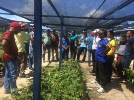 agricultores mudas 25 05 270x202 - Agricultores conhecem pesquisa sobre produção de mudas da Emepa