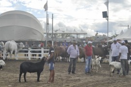 expap 270x179 - Durante encerramento: participantes destacam retomada da Expapi em Campina Grande