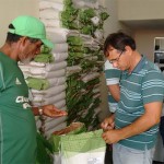 governo atende agricultores com distribuicao de sementes (2)