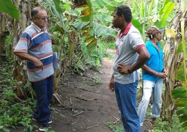 governo cadastra agricultores que produzem e comercializam organicos 3 270x191 - Governo cadastra agricultores que produzem e comercializam orgânicos para venda direta ao consumidor