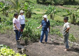 governo cadastra agricultores que produzem e comercializam organicos 4 270x191 - Governo cadastra agricultores que produzem e comercializam orgânicos para venda direta ao consumidor