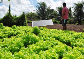 governo estimula debate sobre agroecologia no territorio da borborema (1)