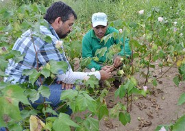 governo estimula debate sobre agroecologia no territorio da borborema (2)