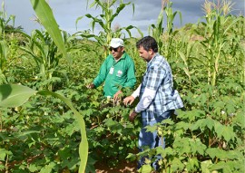 governo estimula debate sobre agroecologia no territorio da borborema (3)