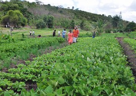 governo estimula debate sobre agroecologia no territorio da borborema (4)