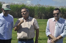 DSC0904 270x179 - Grupo Gestor do Plano ABC faz reunião de campo para conhecer cultura do reflorestamento