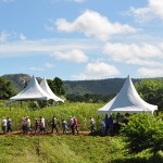 dia do campo cultivo de algodao (9)