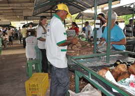 feira da emater realizada  nesta sexta-feira (1)