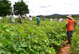 governo investe em algodao agroecologico 2 270x183 - Governo investe em algodão agroecológico e promove dia de campo para atrair agricultor